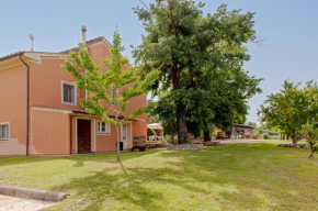 Antica Fattoria Borghesi Fauglia
